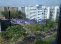 Seastrand (D18), Condominium #173748432